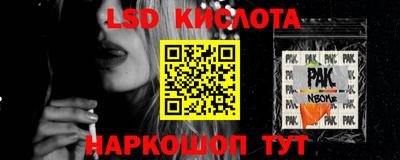 гидра Ставрополь