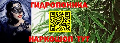 mdpv Славгород