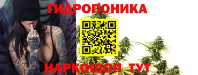 трава Сланцы