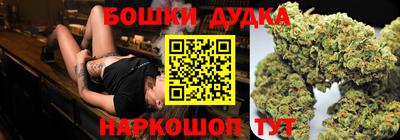 гидра Ставрополь