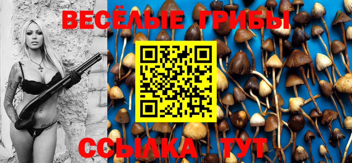 Псилоцибиновые грибы Psilocybe  купить наркотики сайты  Новороссийск  Вход с VPN 