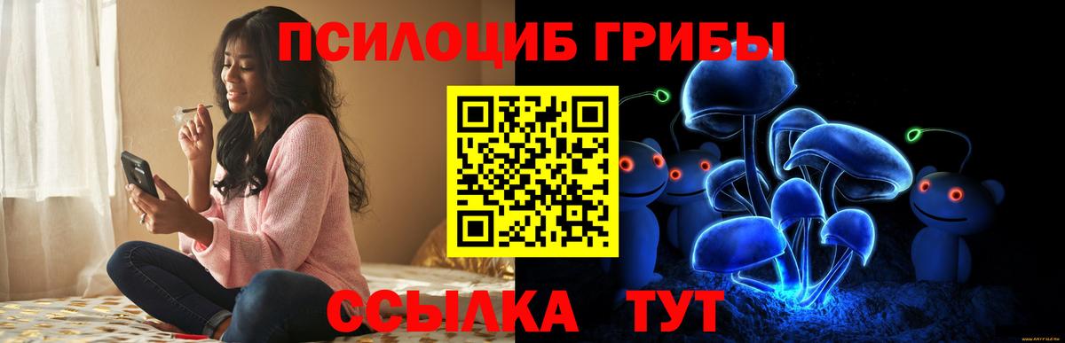 Псилоцибиновые грибы Cubensis Новороссийск
